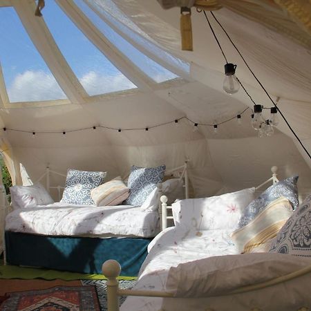 Tal-Y-Fan Farm 6M Stargazer Tent Bridgend  Ngoại thất bức ảnh